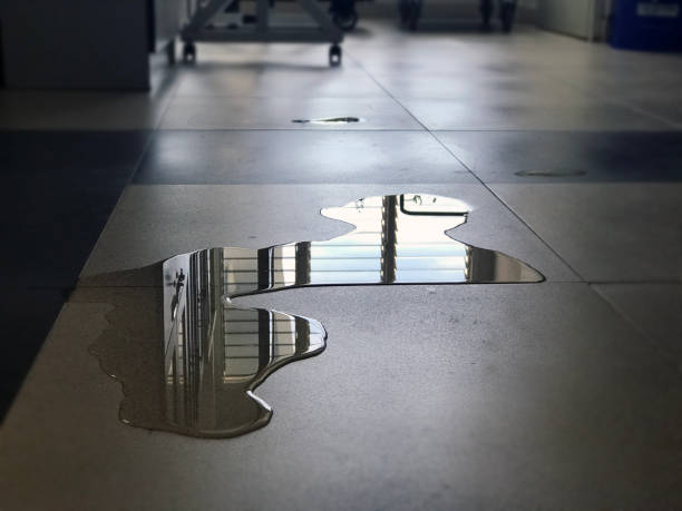 Best Water damage cleanup near me  in East Missoula, MT