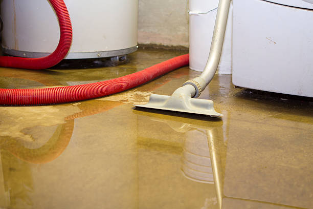 Best Professional water damage repair  in East Missoula, MT